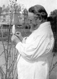 Корренс Карл Корренс Карл