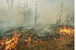 пожары в Бурятии