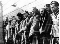 день освобождения узников концлагерей