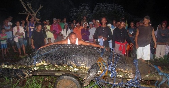 самый длинный крокодил в мире