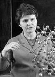 Яхонтова Лия Константиновна Яхонтова Лия Константиновна