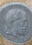 Блазиус Иоганн Генрих Блазиус Иоганн Генрих