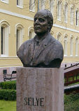 Селье Ганс Селье Ганс