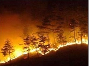 Пожар в Туве