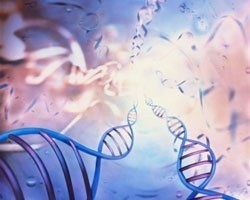 раковые клетки